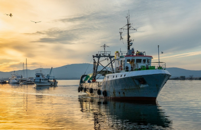 Aiuti per il settore pesca: il decreto liquidità ne semplifica l’erogazione